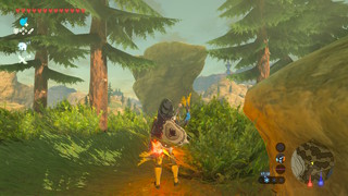 Screenshots de Breath of the Wild - Korogus