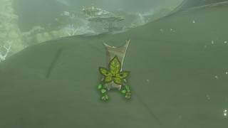 Screenshots de Breath of the Wild - Korogus