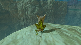 Screenshots de Breath of the Wild - Korogus