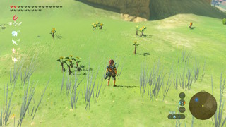 Screenshots de Breath of the Wild - Korogus