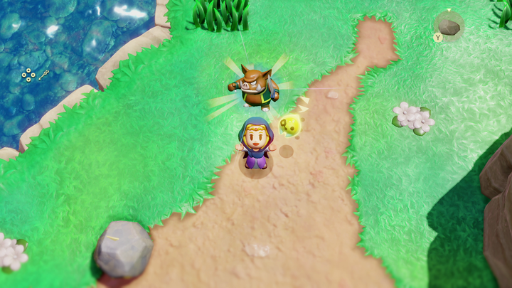 Zelda apprenant l'écho d'un Moblin (Screenshot - Screenshots du 18 juin 2024- Echoes of Wisdom)