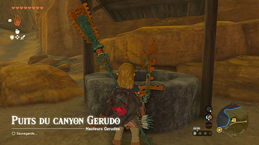 Puits du canyon Gerudo - Canyon Gerudo