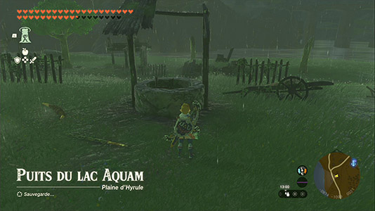 Puits du lac Aquam - Plaine d'Hyrule