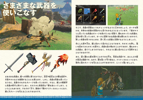 Aperçu officiel de Breath of the Wild : Master Works